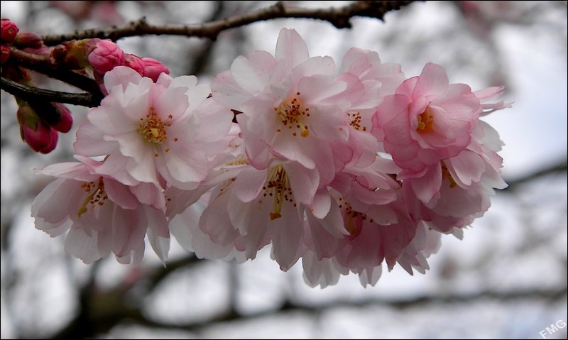http://img108.xooimage.com/files/e/1/2/p2100069_c_v-43d773c.jpg