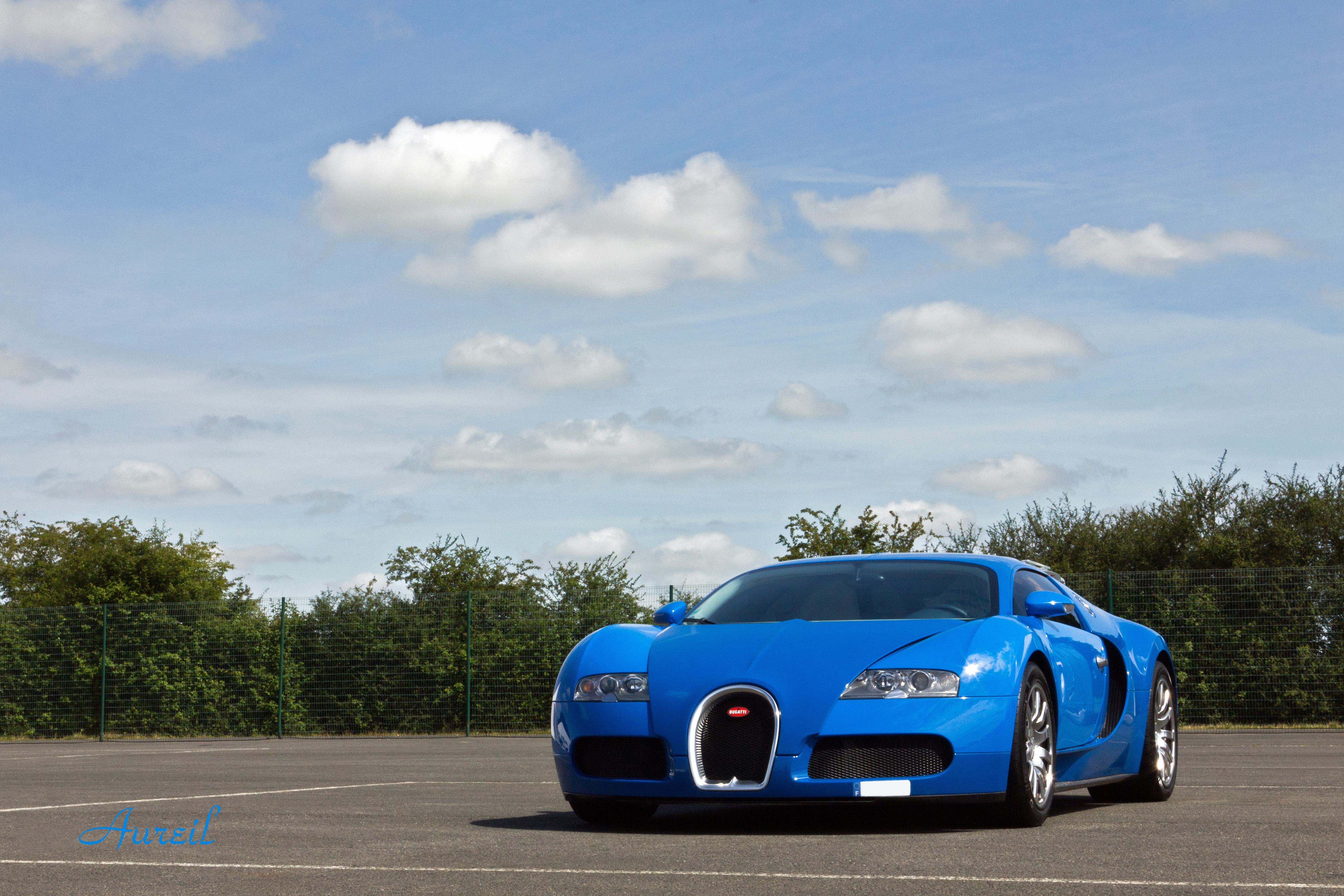 veyron-4648403.jpg